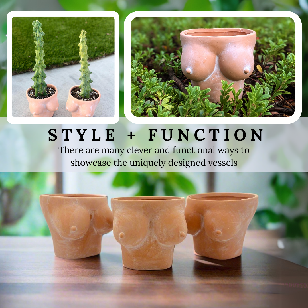 5" terracotta boobies planter
