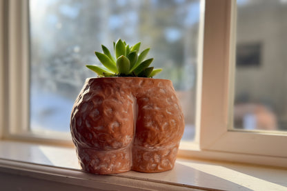 Dimbled Butt Planter - Body Positive - 6" Terracotta Art