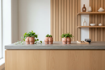 Ceramic vase shaped like a stylized rear end with dimples/cellulite texture on a windowsill with a blurred outdoor background