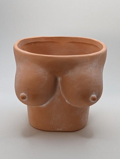 5" terracotta boobies planter