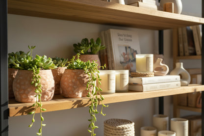 Terracotta Dimpled Butt Planter | Cacti, Succulent Pot | 5" Bohemian Home Decor