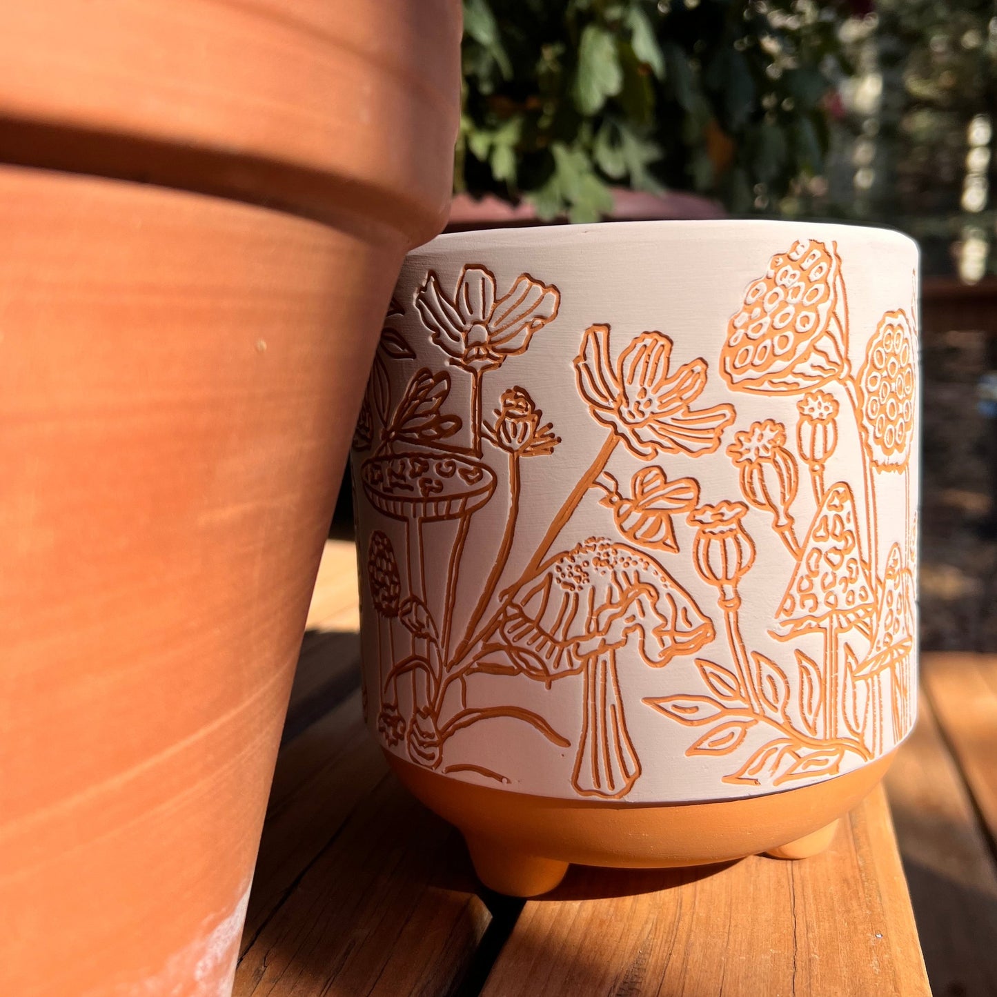 terracotta planter with etched mushrooms 