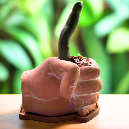 6" Handful - natural terracotta planter