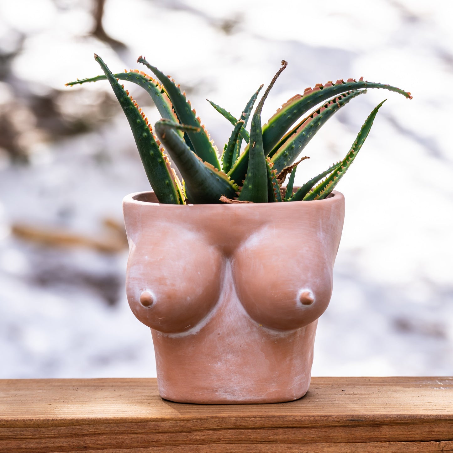 Perky Tits Terracotta Planter