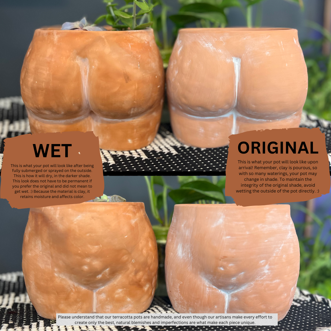 Perky Tits Terracotta Planter – Simply Supplied Co