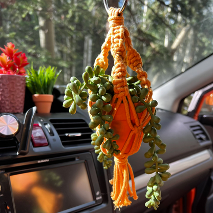 Macrame Car Hanger for Plants