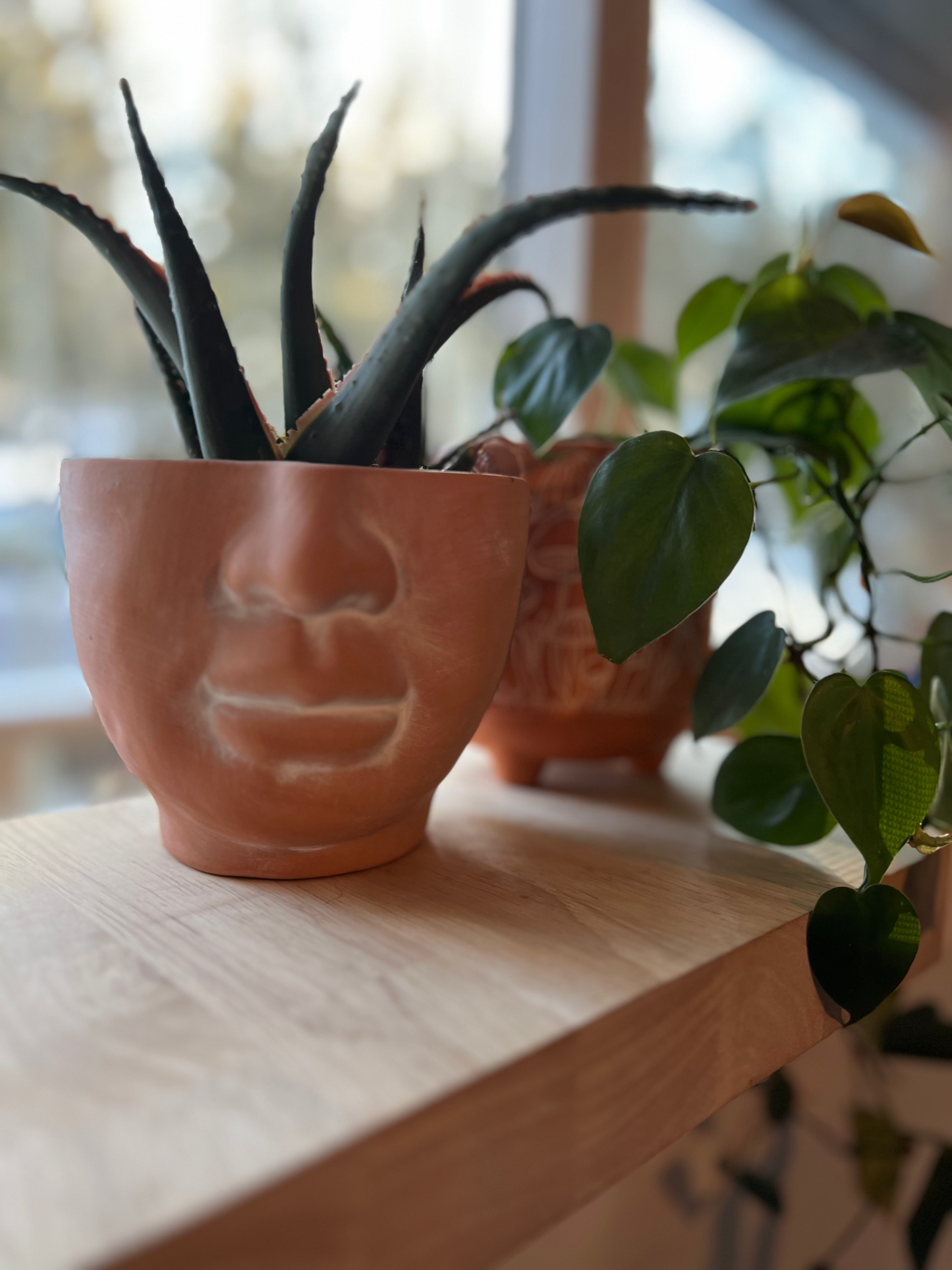 FACE Planter - natural terracotta