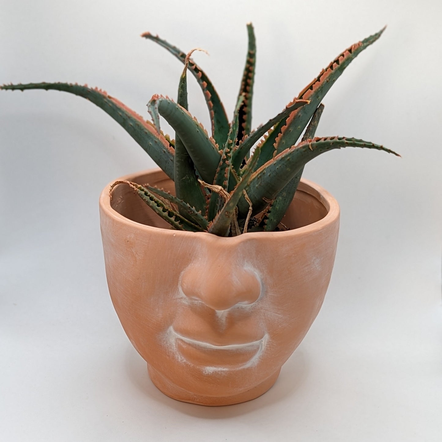 terracotta planter in the shape of a face with just the nose and mouth showing